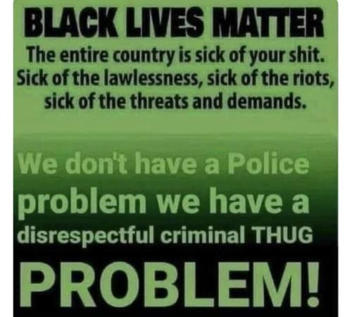 BLM 1