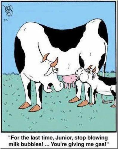 12745731_466080603594941_4189458330512171865_n