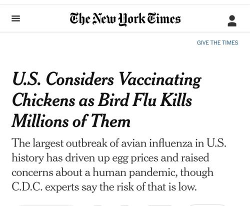 IMG_20230309_131224_134