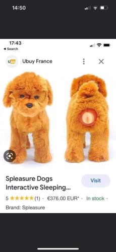 FB_IMG_1678861034988