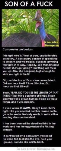 FB_IMG_1679507670769