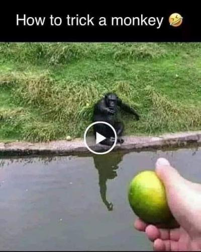 FB_IMG_1678221162198