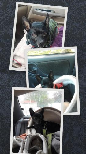 1bcf7bf6-7d16-4c18-a346-13187d7265e9