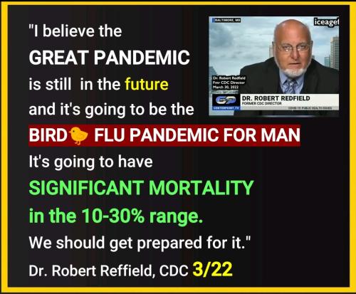 08:03:42 GMT-0400 (EDT)