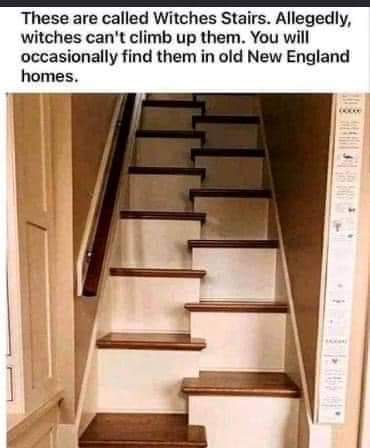 FB_IMG_1679170057568