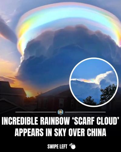 8412840a-7dc1-4031-82fd-3da9102c5a7e