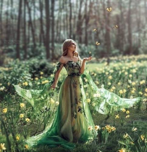 52351542_10210519072093233_4652049584204283904_n