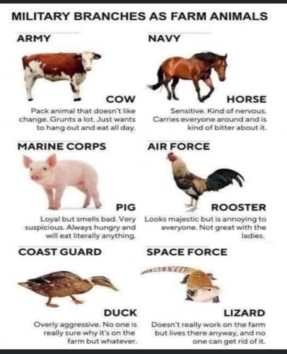 332460532_1282207046041412_8042138677774421396_n