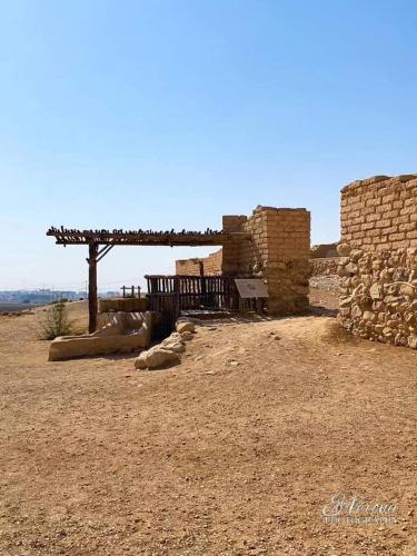 FB_IMG_1679734125096