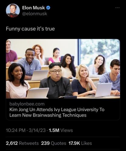 Musk 1