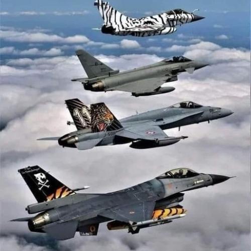 tumblr_9c4d055e0576f8f24b77e4de4e933dfd_40dd4b19_540