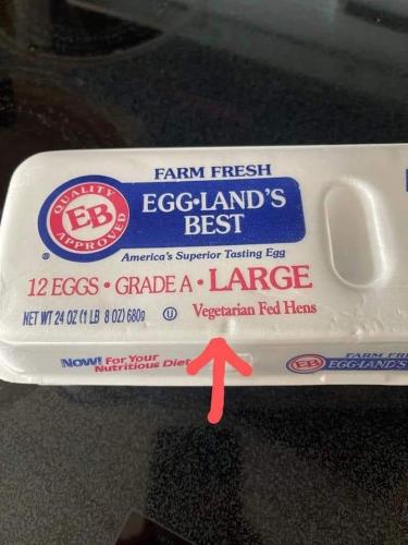 FB_IMG_1679944105812