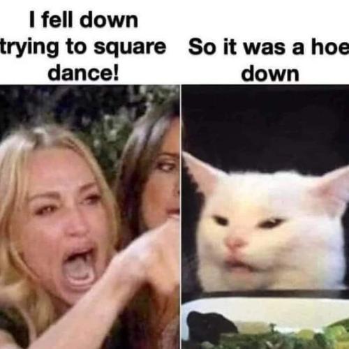 FB_IMG_1677783411268