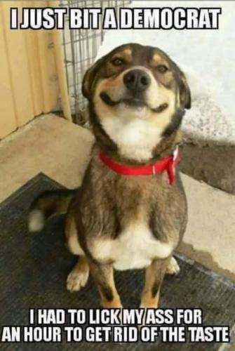 FB_IMG_1679934384803