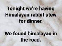 FB_IMG_1678591937297