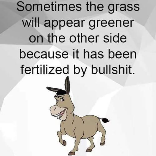 FB_IMG_1679497798814