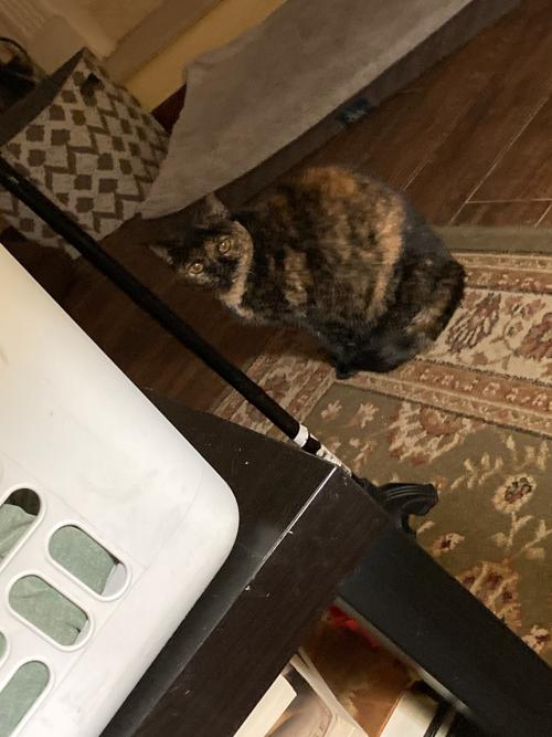 CDCBB8F0-51F3-40A5-945A-42CC78D47E7D