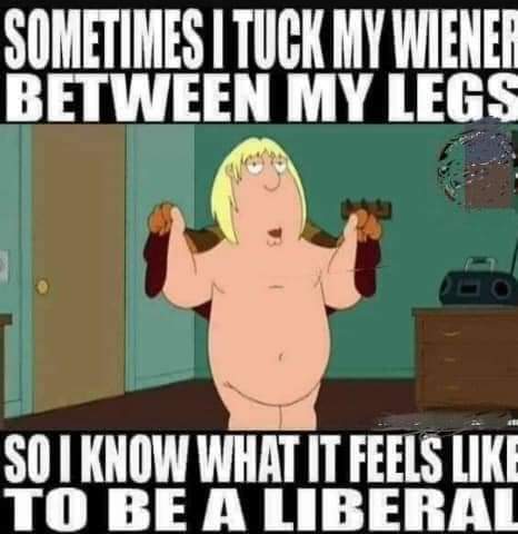 FB_IMG_1679077557677