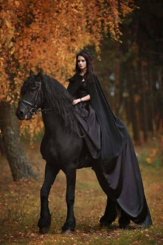 7defc02fd8a3119c7f04b4220a570e68