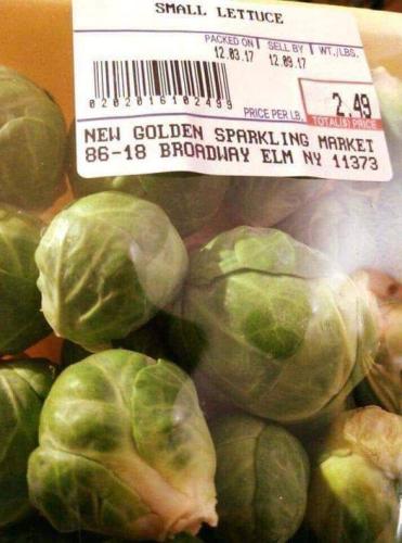 small lettuce