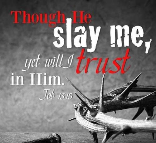 f04ec196-8a04-44a9-b200-b444fbabe74c