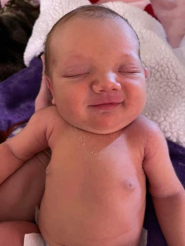 6a34a387-686b-4af4-ab20-7fc505620946