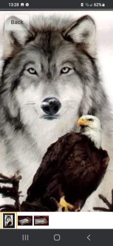 Screenshot_20230114-132818_Chrome