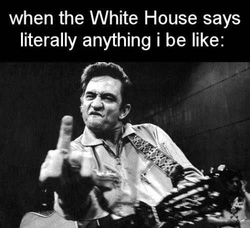 when the white house says literally anything i be like