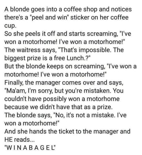 FB_IMG_1680897952392