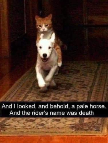 FB_IMG_1682434604151