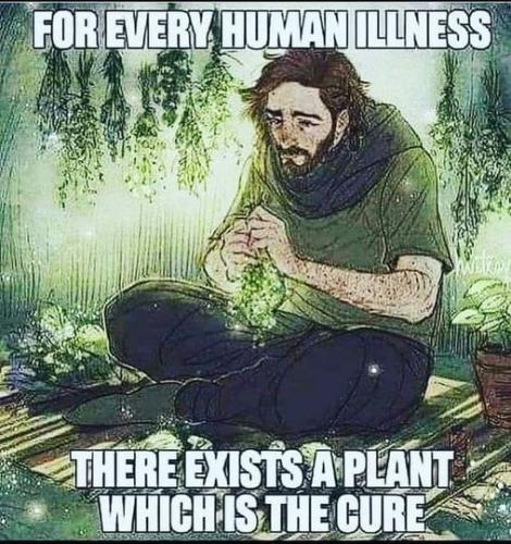 51cCp52jAWL._AC_AC_SR98,95_