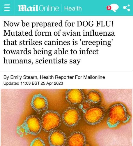 IMG_20230427_132920_943