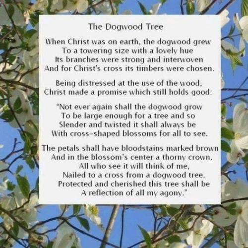 338288255_156863670633771_3963938442070132492_n