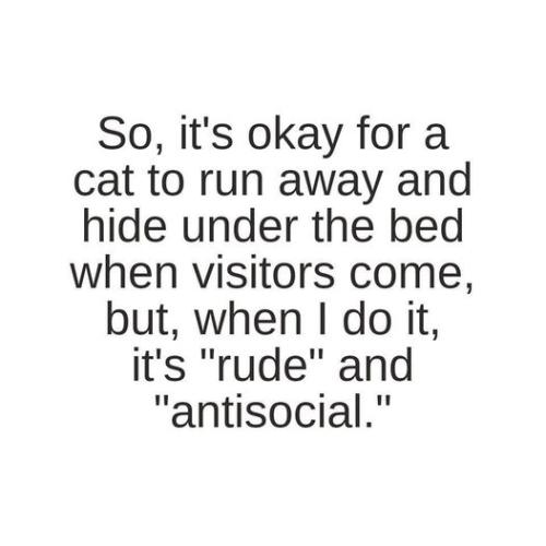 342981797_526878219618258_5672203245555704532_n