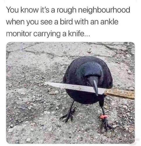 FB_IMG_1681485553628