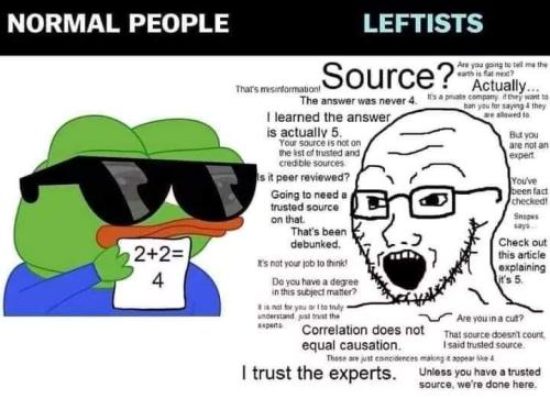 normal vs leftists