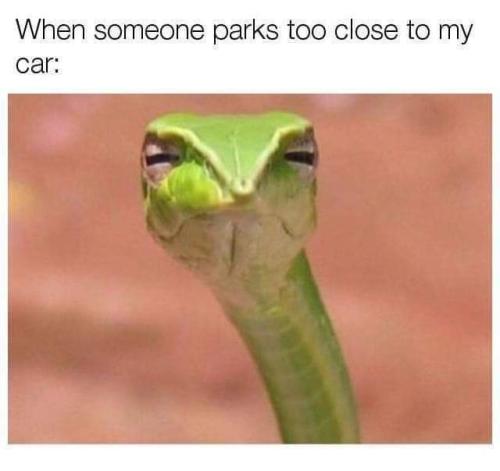 FB_IMG_1682539963903