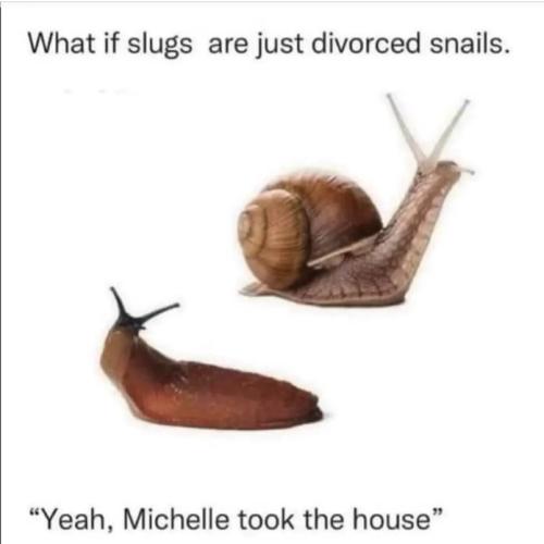 snails