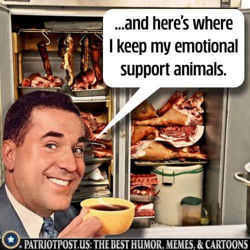 01GWW32BC24EYHRBV13656JEZH