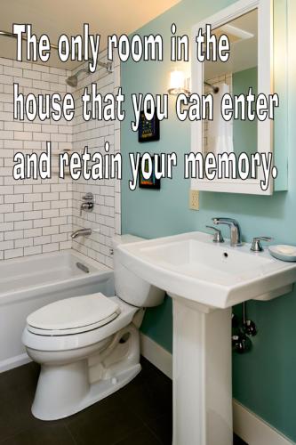 BathroomsAreMemorySafe_meme