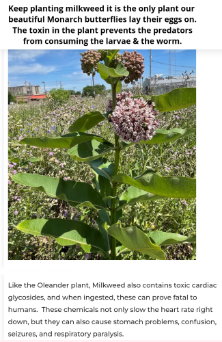 Screenshot_2023-04-11-23-20-35_kindlephoto-17336000