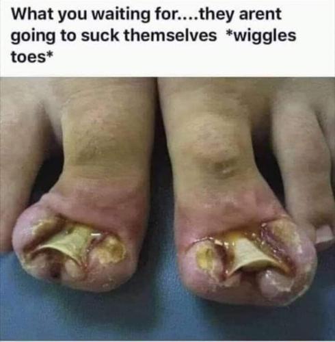 FB_IMG_1680457739393