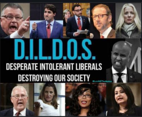 Screenshot_20230325_135520_Chrome