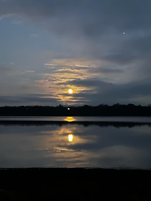 94758805-5628-48E9-8971-B7A0EA7C3F1F