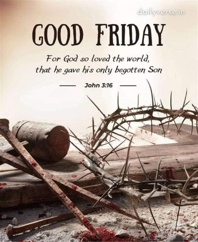 FB_IMG_1680874339614