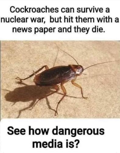 FB_IMG_1682729526051