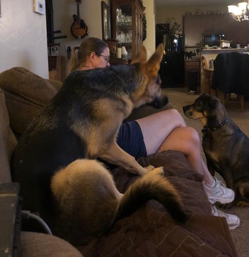 D77E9E42-F041-48CA-B0D9-0F495379E750