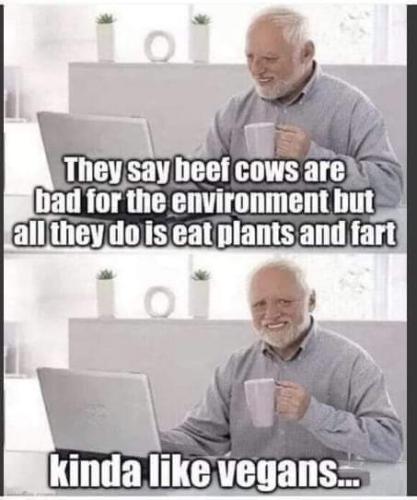FB_IMG_1680932215922
