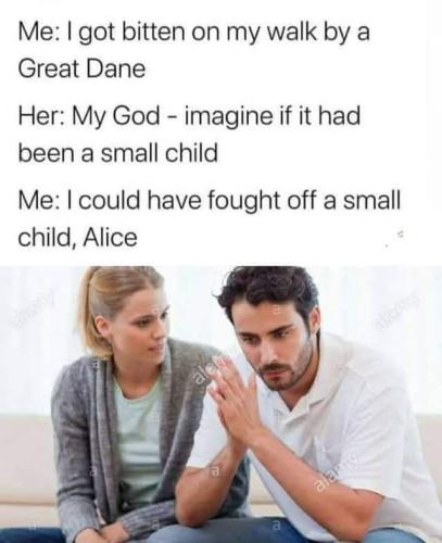 bit by a great dane