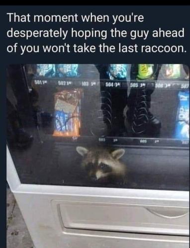 FB_IMG_1682707648691